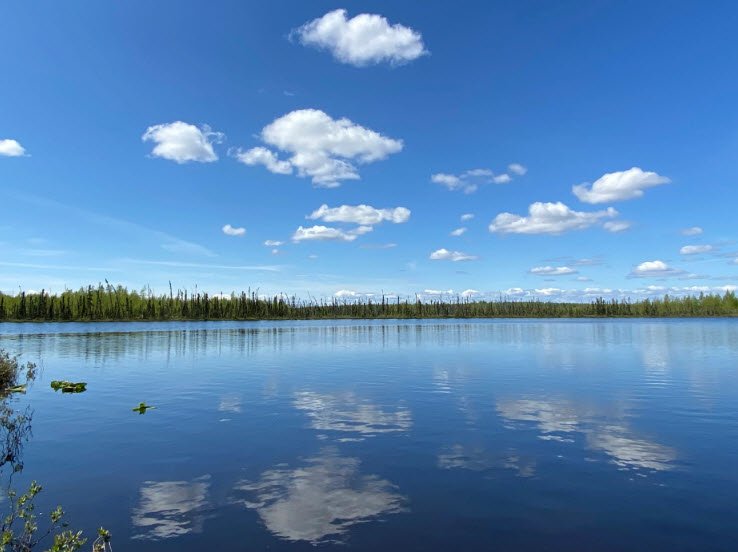 Big Lake North State Recreation Site, Alaska, USA